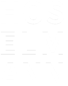 Hoselmann Consulting - It´s about you and your vision.